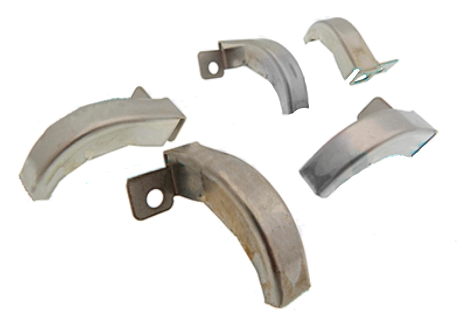 CABEZA PILOTO PICO DE LORO