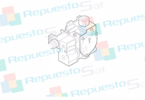 Producto Valvula gas G20/G30