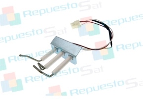 Producto CONJUNTO ELECTRODO